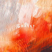 5NALLY (2020)